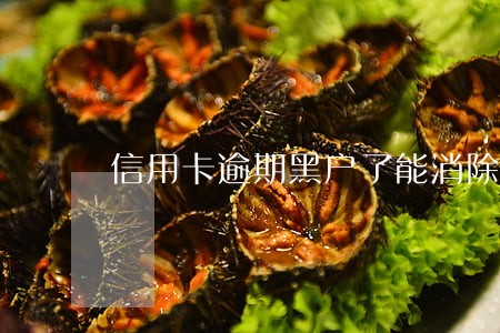 信用卡逾期黑户了能消除吗 信用卡逾期黑户了能消除吗