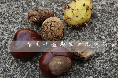 信用卡逾期黑户几年消除 信用卡逾期黑户几年消除