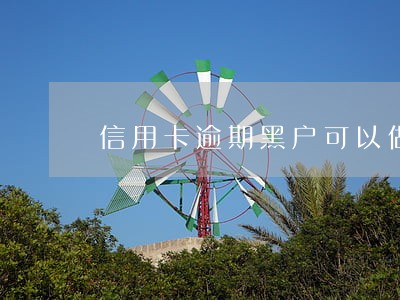 信用卡逾期黑户可以做法人吗