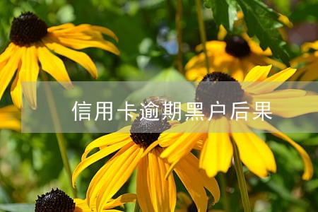 信用卡逾期黑户后果 信用卡逾期黑户后果
