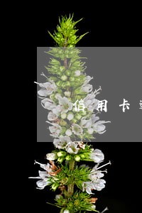 信用卡逾期黑户多久会漂白 信用卡逾期黑户多久会漂白