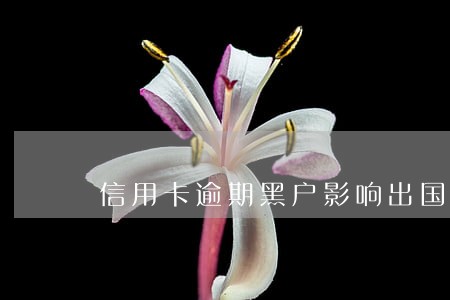 信用卡逾期黑户影响出国吗 信用卡逾期黑户影响出国吗