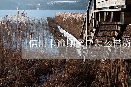 信用卡逾期黑户怎么借贷款吗 信用卡逾期黑户怎么借贷款吗