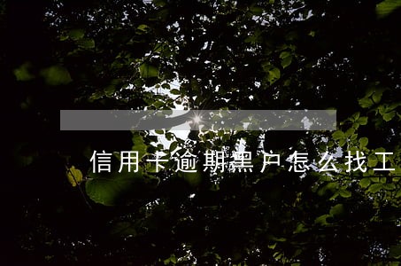 信用卡逾期黑户怎么找工作 信用卡逾期黑户怎么找工作