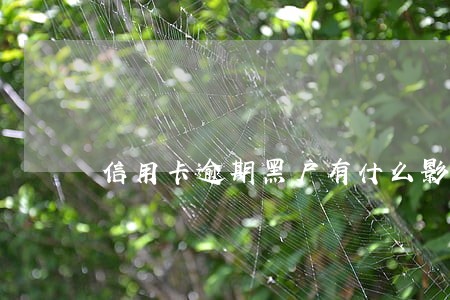 信用卡逾期黑户有什么影响 信用卡逾期黑户有什么影响