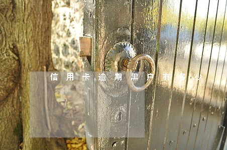 信用卡逾期黑户有多少
