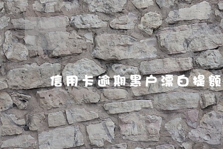 信用卡逾期黑户漂白提额
