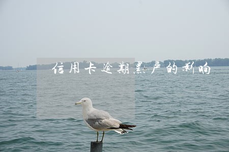 信用卡逾期黑户的影响 信用卡逾期黑户的影响