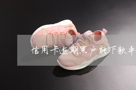 信用卡逾期黑户能下款平台 信用卡逾期黑户能下款平台