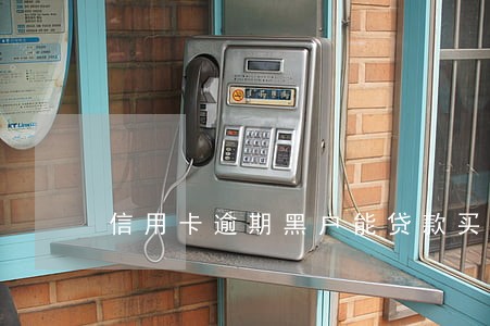 信用卡逾期黑户能贷款买车吗 信用卡逾期黑户能贷款买车吗