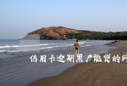 信用卡逾期黑户能贷的网贷 信用卡逾期黑户能贷的网贷