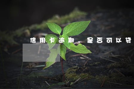 信用卡逾期，是否可以贷款