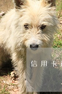 信用卡遗忘逾期两天 信用卡遗忘逾期两天