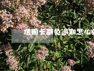 信用卡避免逾期怎么处理 信用卡避免逾期怎么处理
