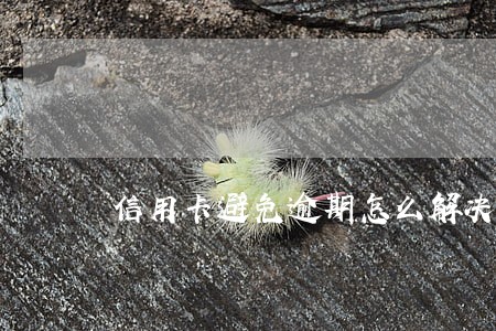 信用卡避免逾期怎么解决 信用卡避免逾期怎么解决