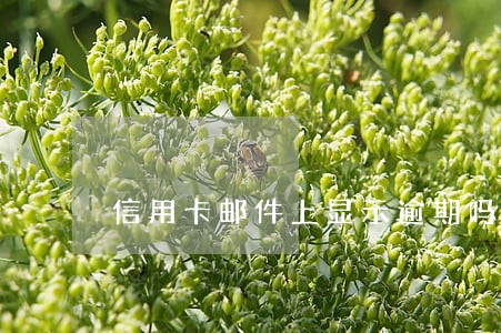 信用卡邮件上显示逾期吗 信用卡邮件上显示逾期吗