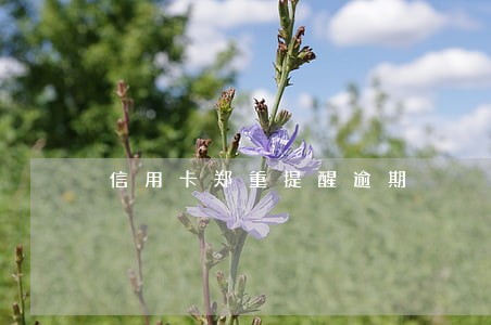 信用卡郑重提醒逾期 信用卡郑重提醒逾期