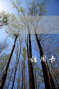 信用卡部分逾期全额缴利息吗 信用卡部分逾期全额缴利息吗