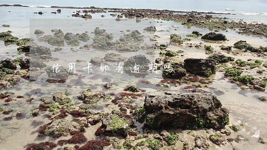 信用卡都有逾期吗 信用卡都有逾期吗