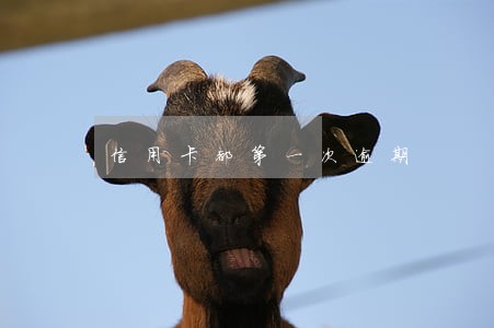 信用卡都第一次逾期