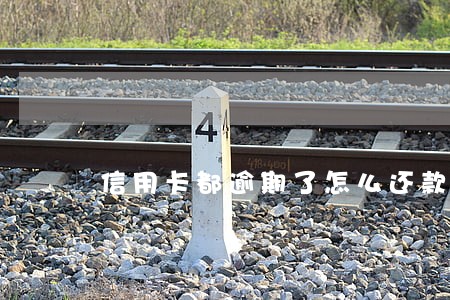 信用卡都逾期了怎么还款 信用卡都逾期了怎么还款