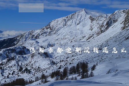信用卡都逾期没钱还怎么办 信用卡都逾期没钱还怎么办
