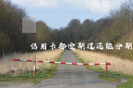 信用卡都逾期过还能分期买车吗 信用卡都逾期过还能分期买车吗