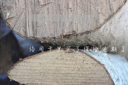 信用卡里买了保险逾期了