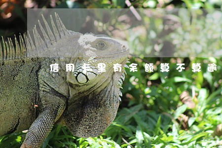 信用卡里有余额算不算逾期 信用卡里有余额算不算逾期