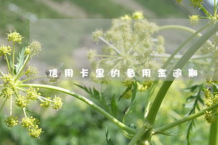 信用卡里的备用金逾期 信用卡里的备用金逾期