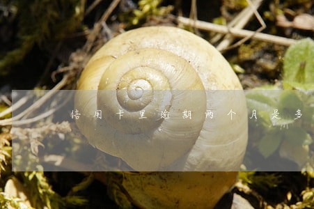 信用卡里逾期两个月是多久 信用卡里逾期两个月是多久