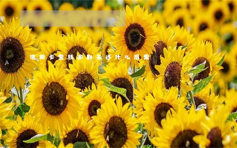信用卡里钱逾期未还什么后果 信用卡里钱逾期未还什么后果