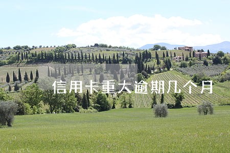 信用卡重大逾期几个月 信用卡重大逾期几个月