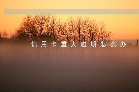 信用卡重大逾期怎么办 信用卡重大逾期怎么办