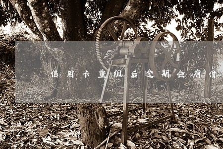 信用卡重组后逾期会有什么结果 信用卡重组后逾期会有什么结果