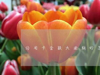 信用卡金额大逾期的怎么催收