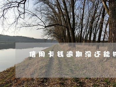 信用卡钱逾期没还能按揭车吗 信用卡钱逾期没还能按揭车吗