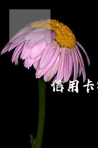 信用卡钱逾期结清了多久恢复征信 信用卡钱逾期结清了多久恢复征信