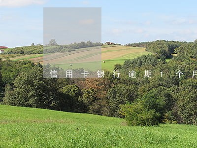信用卡银行逾期1个月 信用卡银行逾期1个月