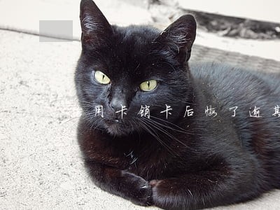 信用卡销卡后悔了逾期过 信用卡销卡后悔了逾期过