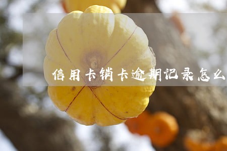 信用卡销卡逾期记录怎么办 信用卡销卡逾期记录怎么办