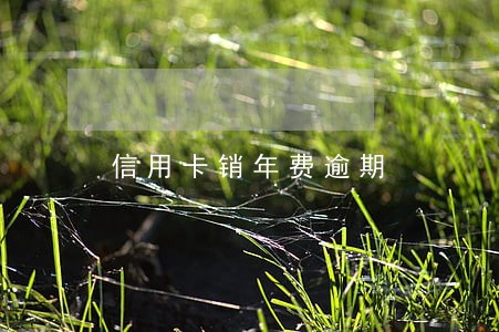 信用卡销年费逾期
