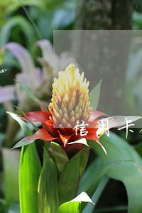 信用卡销户了征信逾期