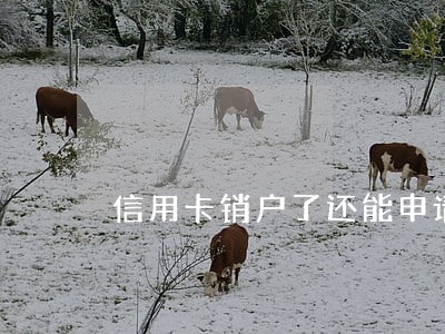 信用卡销户了还能申请清除逾期吗 信用卡销户了还能申请清除逾期吗
