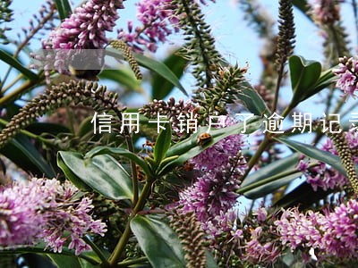 信用卡销户了逾期记录保留多久