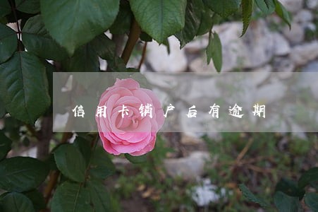 信用卡销户后有逾期 信用卡销户后有逾期