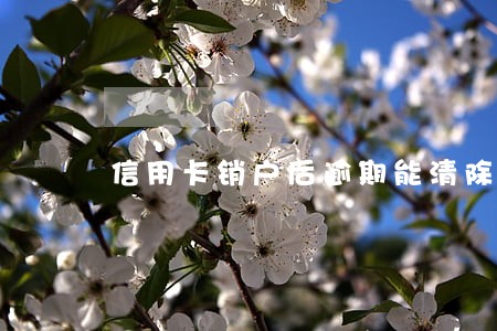 信用卡销户后逾期能清除吗 信用卡销户后逾期能清除吗