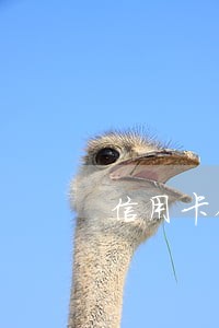 信用卡销户后逾期记录多久删除