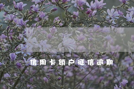 信用卡销户征信逾期 信用卡销户征信逾期