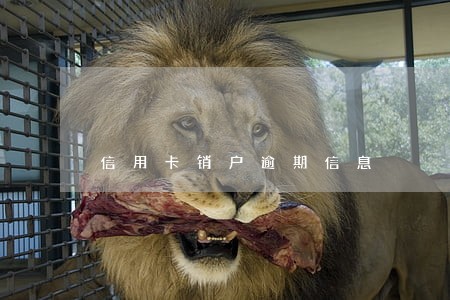 信用卡销户逾期信息